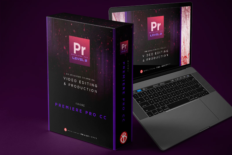 Adobe Premiere Pro Level 2